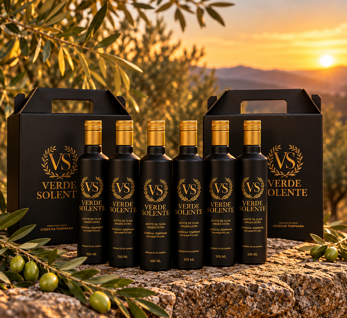 AOVE Picual de Cosecha Temprana – Verde Solente